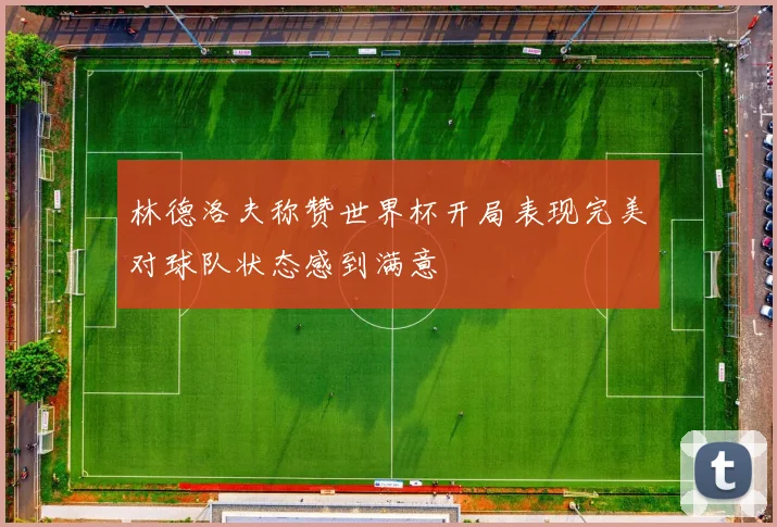 林德洛夫称赞世界杯开局表现完美对球队状态感到满意